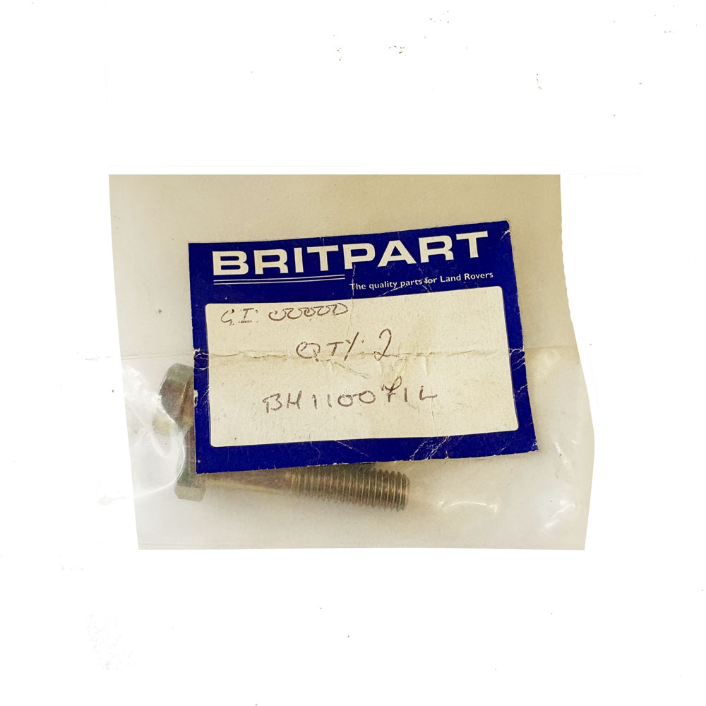 Bolt M10 x 45mm BH110071L
